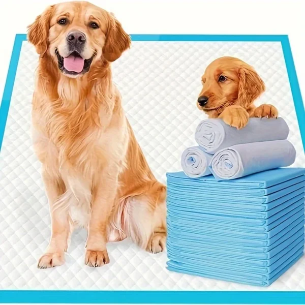 XXL Dog Pee Pads | Various Sizes  Training Pads