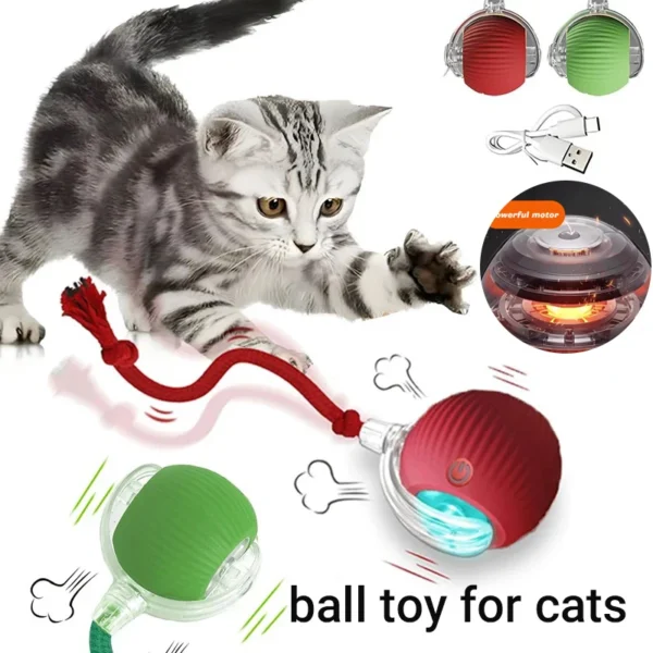 New Cat Interactive Ball Toy